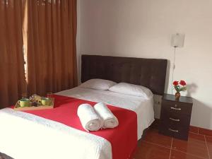 Hospedaje la posada el colono