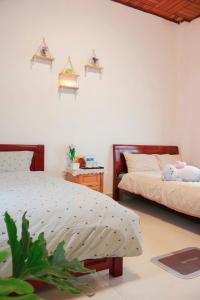 December Homestay Đà Lạt