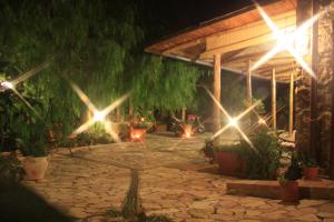 Alla Finestra Sul Parco