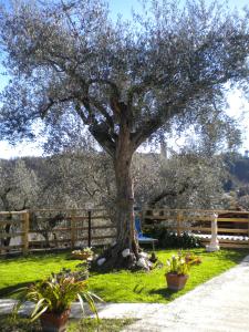 la casetta del nonno