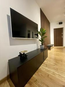 Black & Wood Studio Premium