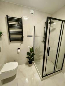 Black & Wood Studio Premium