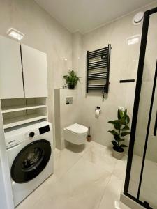 Black & Wood Studio Premium