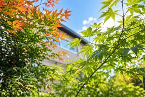 Bamboo Room 105, Easy Access to Shinjuku and Shibuya ,Spacious Room with 1 Double Bed,2 Gests,Japanese Style