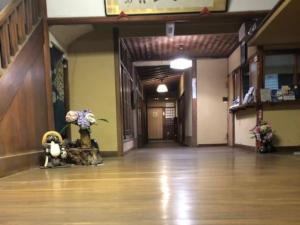 Izuya Ryokan - Vacation STAY 87162v