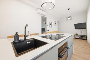 Artisa Riia Str 20a Luxury Penthouse Apartment