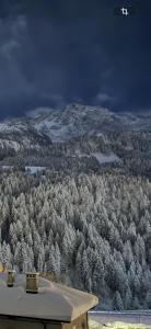 Loly Deluxe Duplex House, Alpine passes Basecamp bikers & Hikers