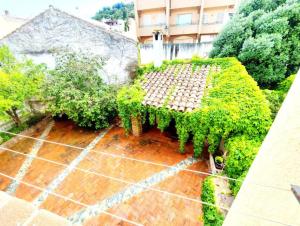 Gamm Simius Home Holiday