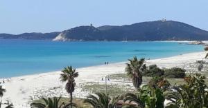 Gamm Simius Home Holiday