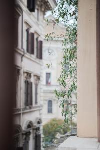 amata suite dei cartari