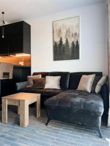 Nice Apartament Vilnius