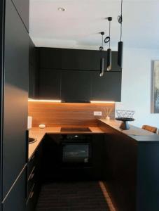 Nice Apartament Vilnius