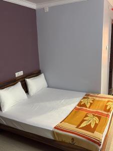 Balaji Hotel