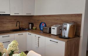 Apartament Zdrojowy przy Deptaku KOMINEK Parking Gratis