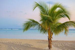 Stylish Apartment in Boca Chica Beach