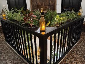 Riad Oasis Chambre Luxe avec baignoire et accès terrasse Petit déjeuner inclus
