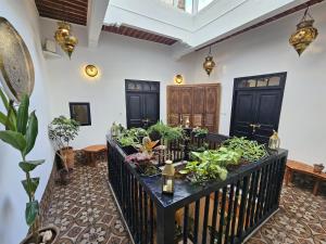 Riad Oasis Chambre Luxe avec baignoire et accès terrasse Petit déjeuner inclus