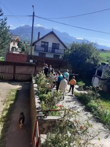 Vila CĂRĂRILE MUNȚILOR ZĂRNEȘTI BRAN