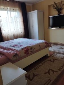 Vila CĂRĂRILE MUNȚILOR ZĂRNEȘTI BRAN