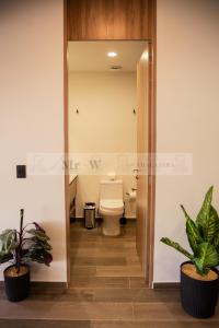 MrW Modern Apartment in the Heart of Chapultepec