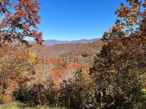 Hidden Mountain Retreat Absolute Seclusion near Cherokee