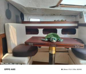 Velero Akan tours