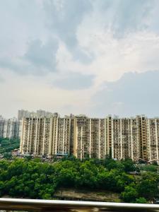 Pink heaven studio 12th floor