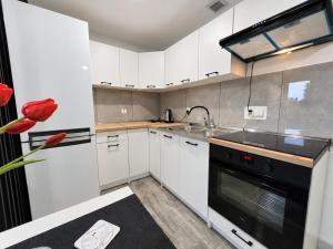 Apartamenty Parkowe nr 7
