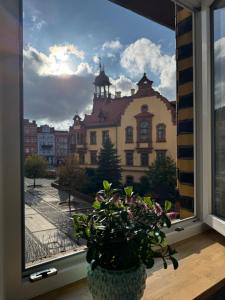 Szach-Mat Apartament Nowa Ruda