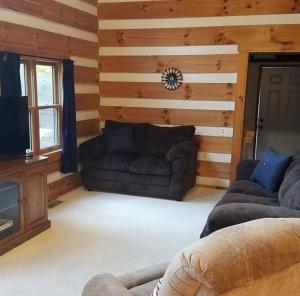 Cozy cabin villa with hot tub and fire pit