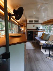 Coco Bus-Jacuzzi & Jungle, Cahuita