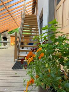 Gospodarstwo Agroturystyczne LOBELIA