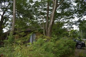 37Forest那須