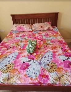 ISLA VEL Guesthouse