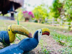 Finca Paraíso Doradal
