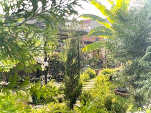 Mộc Homestay - Mộc Châu