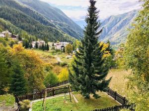 Alpine Dream