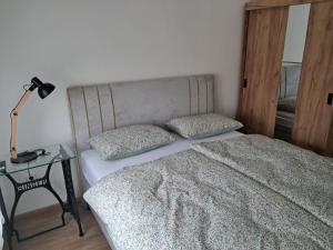 Ljekovita voda