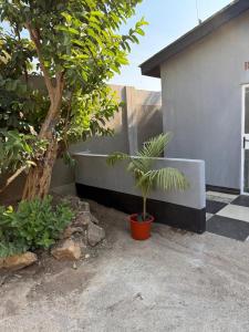 Zee-lijah Apartments