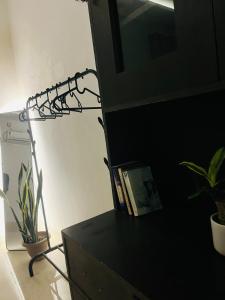 The Warm Canvas Modern 1BHK in Lucknow