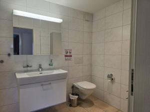 Harder Apartment - Aare Jungfrau AG