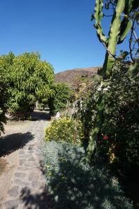 Finca Fataga Casa Artista