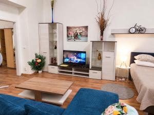 ČSA 2 Central City Apartment Hradec Králové