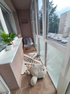 Janonio 39 apartamentai
