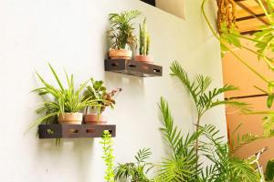 Trang An Riverbank Homestay