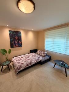 Apartment Magnolia Bianca