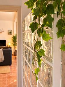 Apartamento completo nuevo centro