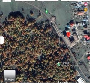 Haystack Bakuriani Apartament 40m2