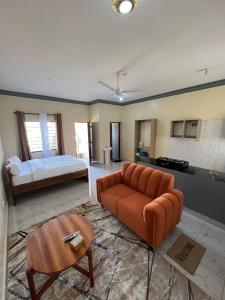 Dada House