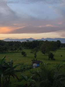 PaddyPalms Huts Trekking & Beyond